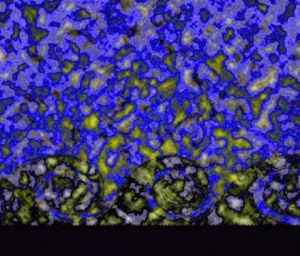 Art_numerique de julie st-germain: Océan