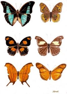 Illustration de FBrasil: Voisins de Couleur