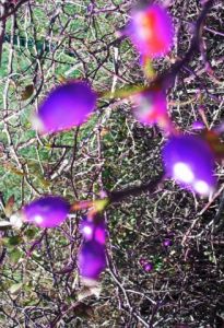 Photo de Jeb photo: Abstraction