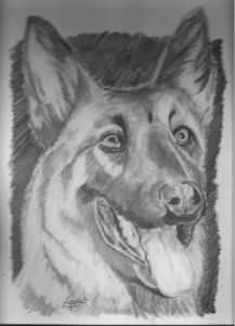 Dessin de franck zacchi: chien 