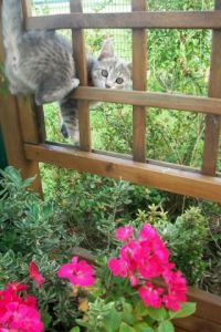 Photo de JJ: ETE 2011