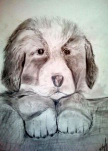 Peinture de stephy : chien