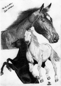 Dessin de Emde: Chevaux