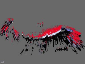 Art_numerique de S comme Souris: Envol du condor