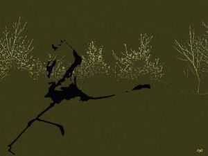 Art_numerique de S comme Souris: Ombre d'un flamand