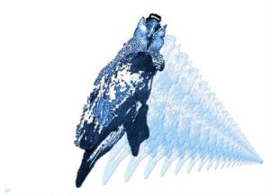 Art_numerique de S comme Souris: Un oiseau qui raisonne