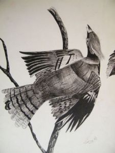 Dessin de blueberry: oiseau