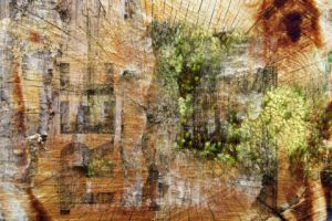 Art_numerique de stephane guenet: TREE BY TRUXTMAN