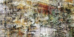 Art_numerique de stephane guenet: matière végétale BY TRUXTMAN