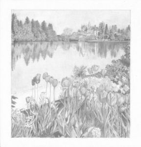 Dessin de AS: Paysage lacustre