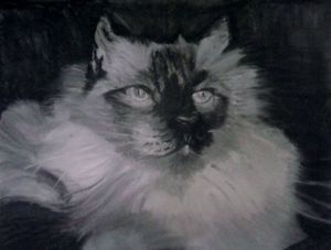 Dessin de Angie: Félin