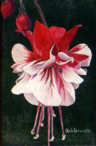 Peinture de KAN: Juponnée de fuchsia blanc et rouge