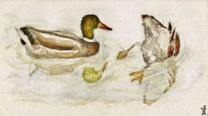 Peinture de dogu erker: Plongeon pourle déjeuner