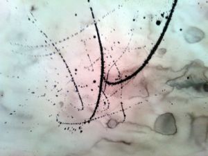 Peinture de BRIGITTE BASPEYRAS: feu6