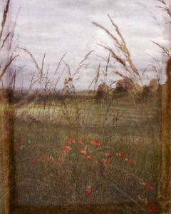 Art_numerique de JACQUES DROUX: Coquelicots