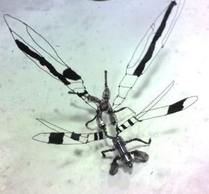 Sculpture de Coma: libellule