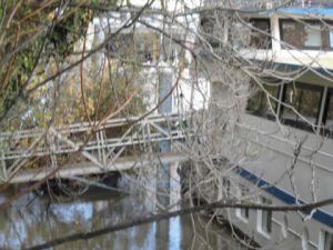 Photo de laureweber: seine le 11 novembre 2013