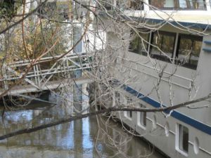 Photo de laureweber: seine le 11 novembre 2013