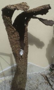 Sculpture de mrozeknicander: fleur petrifie