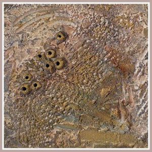 Oeuvre de Monique Bossicart: Traces