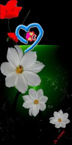 Art_numerique de le sage coyote: je t'aime 