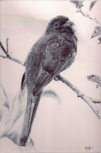 Dessin de halim: oiseau