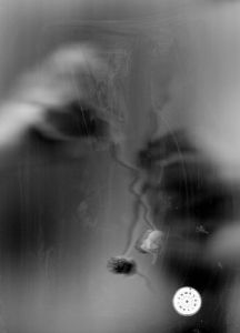 Photo de domroca: chemins de vie