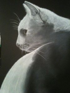 Dessin de PATRIK: IVOIRE