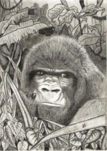 Dessin de Lorenzo De La Vega: Le Dos Argenté