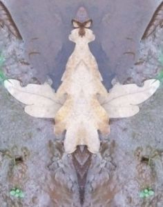 Photo de Onasia: L'oiseau masqué