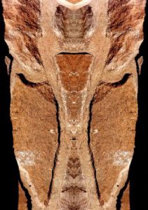 Photo de Onasia: Calme