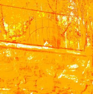 Photo de Onasia: Curiosité ?