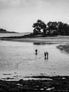 Photo de Memario Vespa: Marée basse 