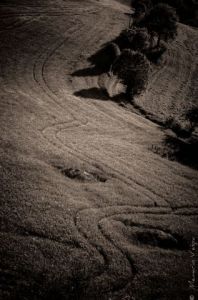 Photo de Memario Vespa: A la suite 