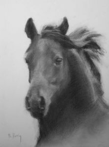 Dessin de Th Hutin: crinière au vent