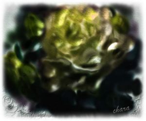 Art_numerique de chara: Rose - Peinture digitale