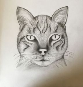 Dessin de nani: ANIMAUX