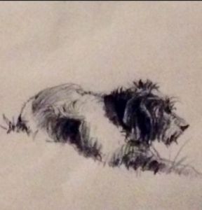 Dessin de Patgreen :  Merlin le chien 