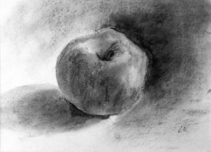 Dessin de Roselin-Art: Dessin au fusain. Pomme 2