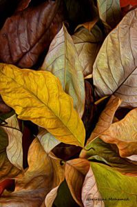 Photo de harimoart: feuilles d ´automne