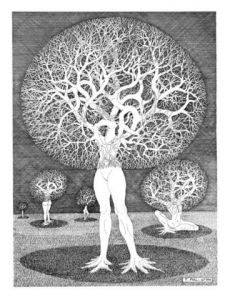 Dessin de Francois MOLL: ARBORIFEMME