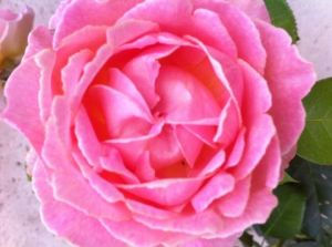 Photo de Beyla Lavana: Harmony