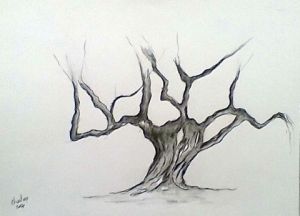 Peinture de charles : tronc d'olivier  djerba