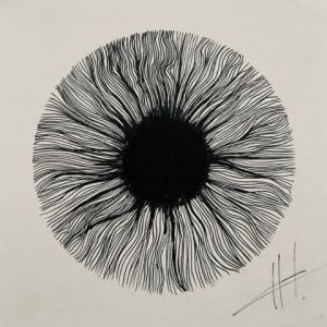 Dessin de HK : Iris.