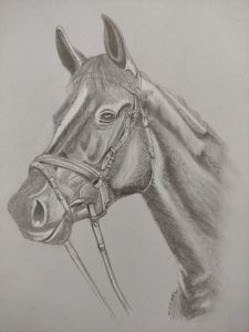 Dessin de Nenette: Cheval