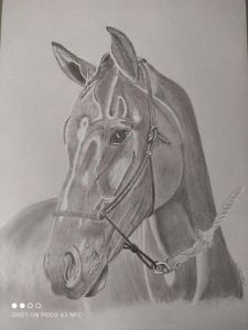 Dessin de Nenette: Cheval 2