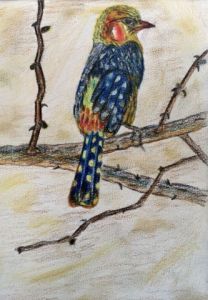 Dessin de jean pierre MALLET