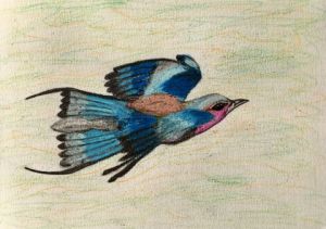 Dessin de jean pierre MALLET: Un vol d’hirondelle