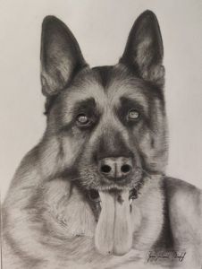 Dessin de Jean Kirsch: Prince