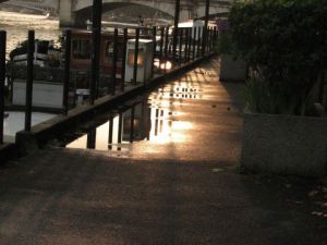 Photo de Doriane Metz: Quai de Seine après la pluie